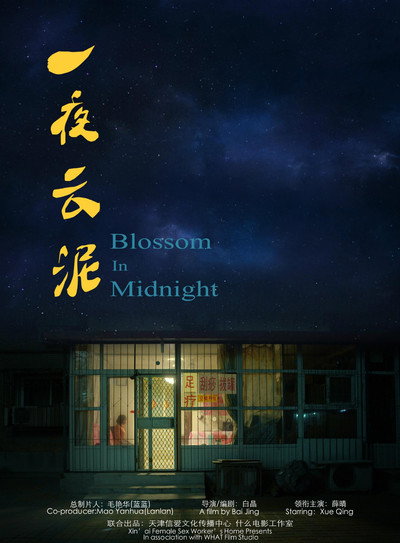 Póster de Blossom in Midnight