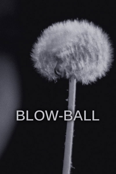 Póster de Blow-Ball