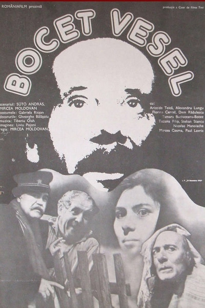 Póster de Bocet vesel