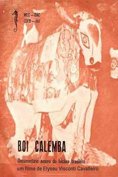 Póster de Boi Calemba