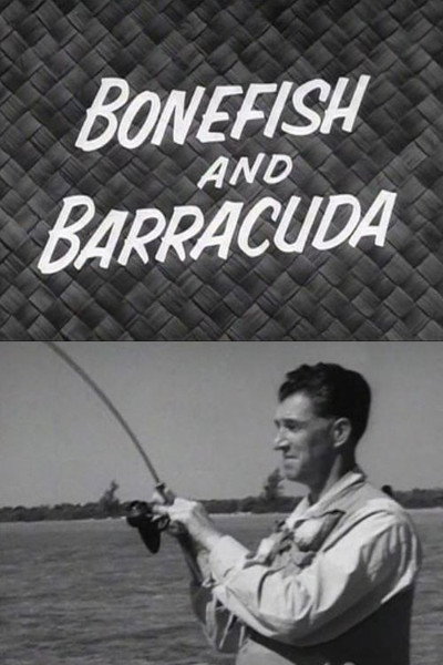 Póster de Bonefish and Barracuda