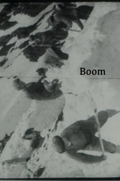 Póster de Boom