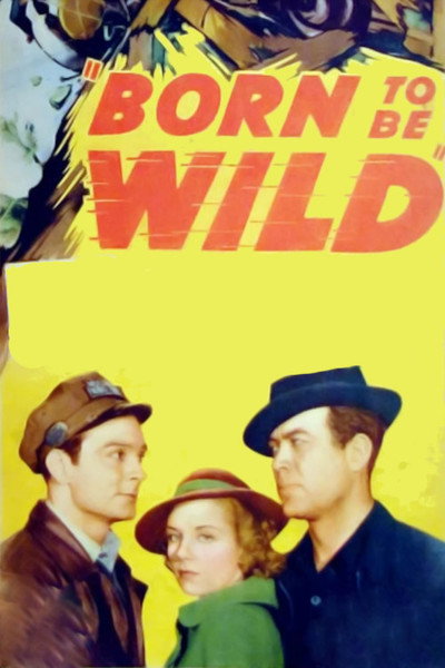 Póster de Born to Be Wild