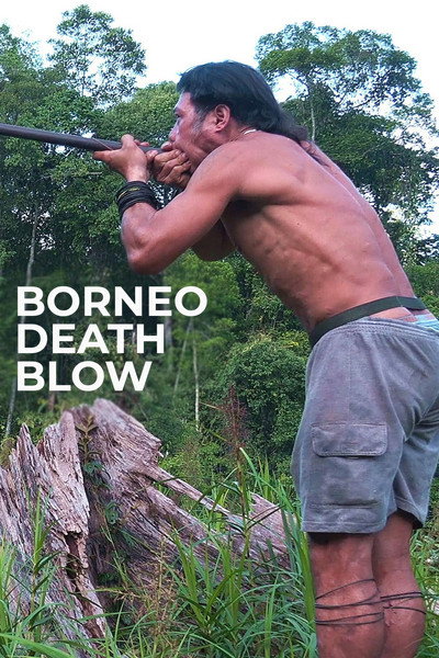 Póster de Borneo Death Blow