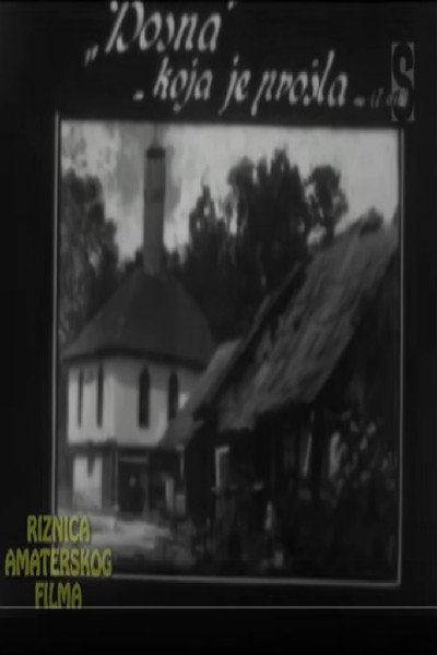 Póster de Bosna koja je prosla