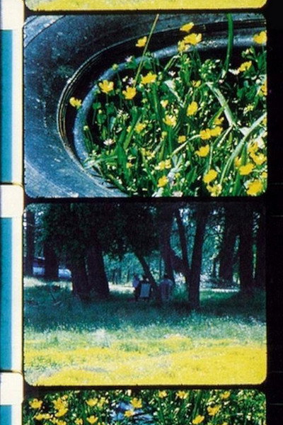 Póster de Bouquets 1-10
