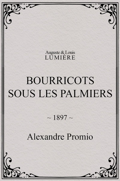 Póster de Bourricots sous les palmiers