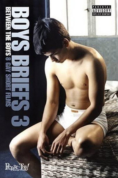 Póster de Boys Briefs 3: Between the Boys
