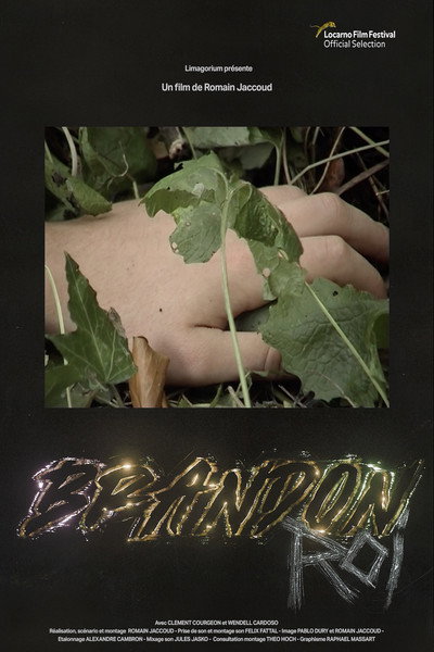 Póster de Brandon Roi