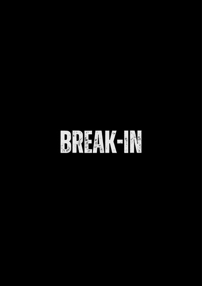 Póster de Break-In