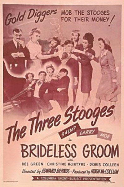 Póster de Brideless Groom