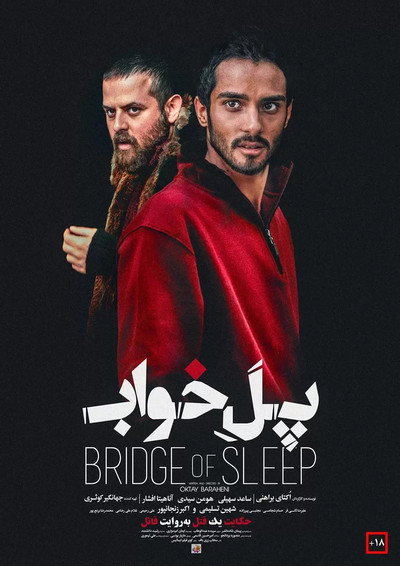 Póster de Bridge of Sleep