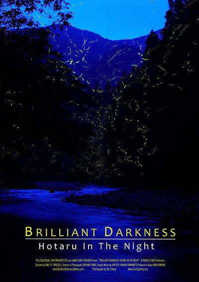 Póster de Brilliant Darkness: Hotaru in the Night