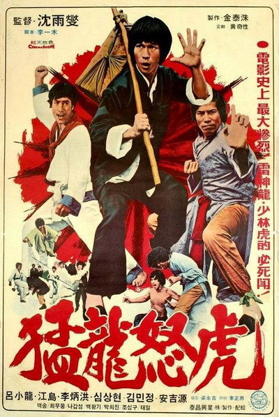 Póster de Bruce and the Dragon Fist