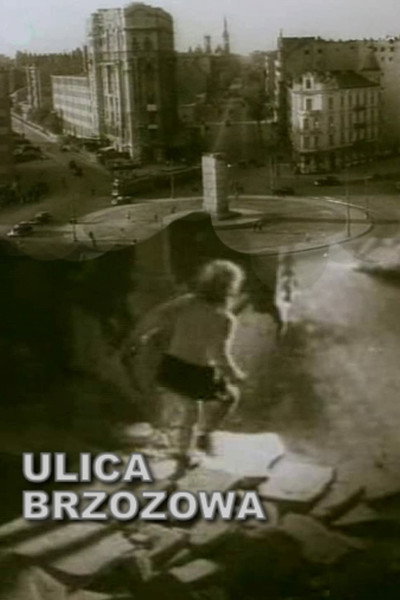 Póster de Brzozowa Street
