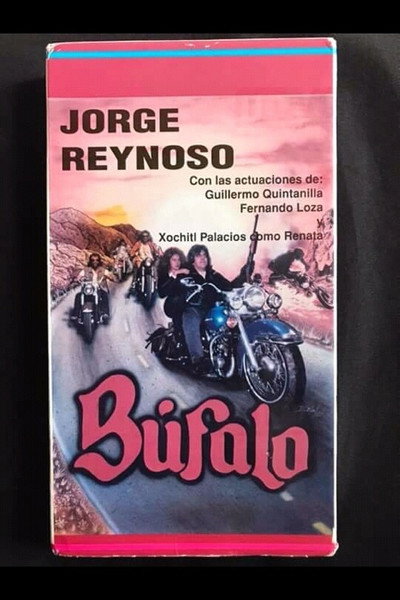 Póster de Bufalo