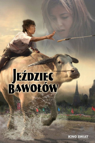 Póster de Buffalo Rider
