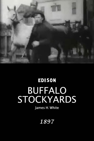 Póster de Buffalo Stockyards