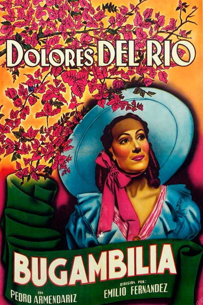 Póster de Bugambilia