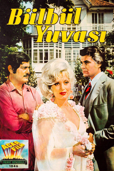 Póster de Bülbül Yuvasi