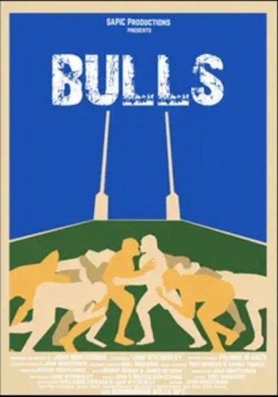 Póster de Bulls