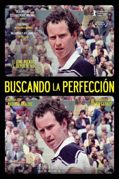 Póster de Buscando la perfección