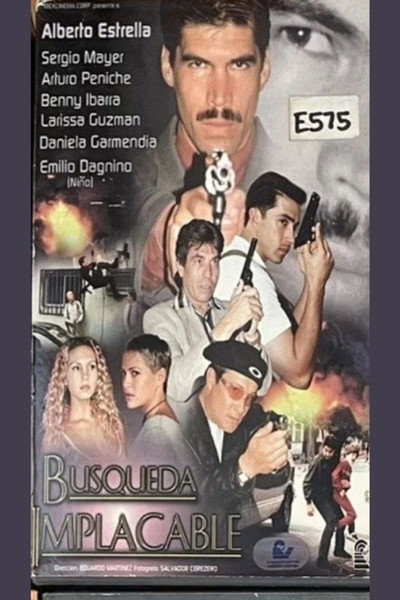 Póster de Búsqueda implacable