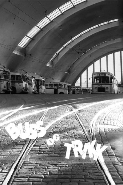 Póster de Buss og trikk