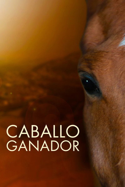 Póster de Caballo ganador