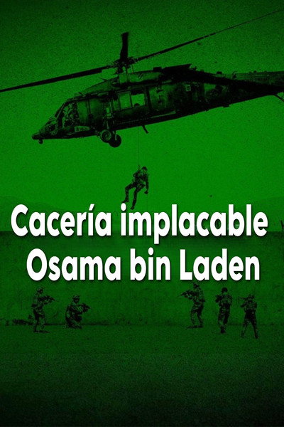 Póster de Cacería implacable: Osama bin Laden