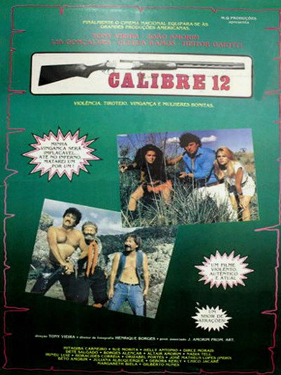 Póster de Calibre 12
