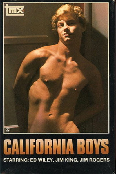 Póster de California Boys