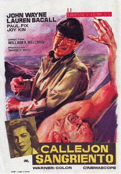 Póster de Callejón sangriento