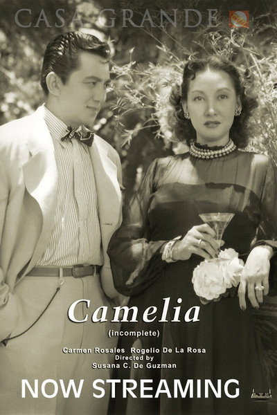 Póster de Camelia