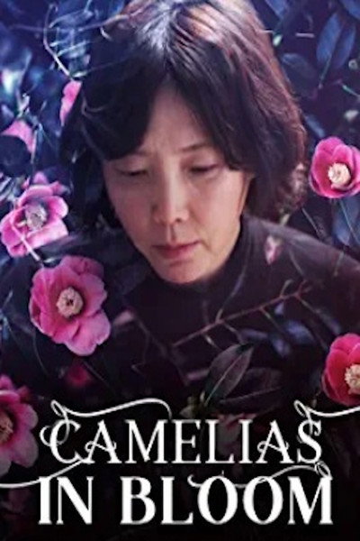Póster de Camellias in bloom