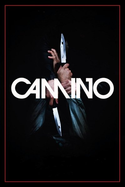 Póster de Camino