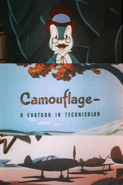 Póster de Camouflage