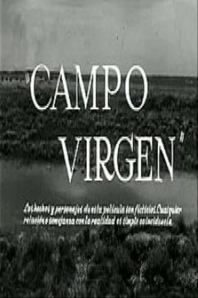 Póster de Campo virgen