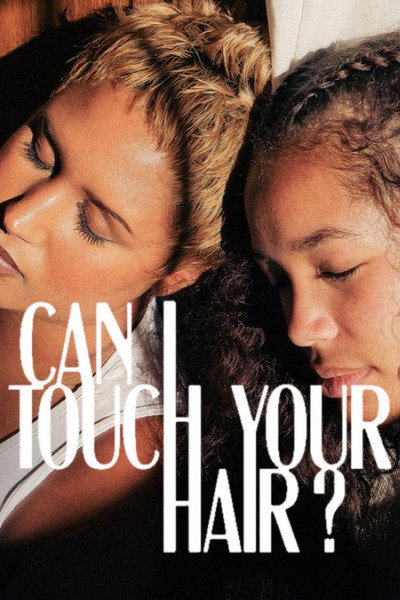 Póster de Can I Touch Your Hair?