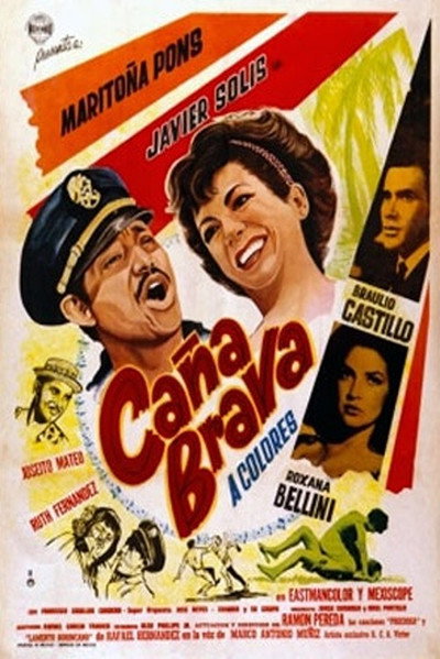 Póster de Caña brava