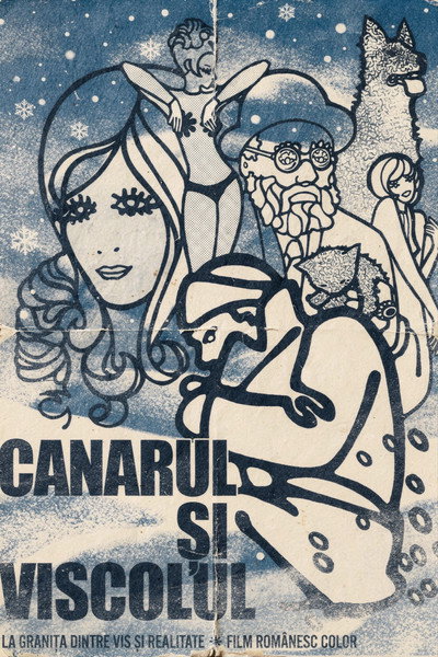 Póster de Canarul si viscolul