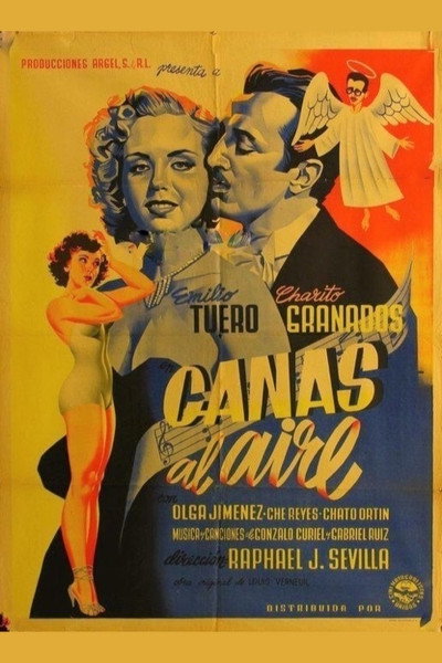 Póster de Canas al aire