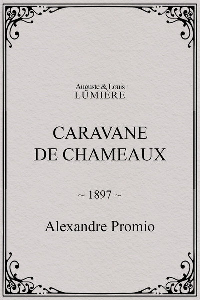 Póster de Caravane de chameaux