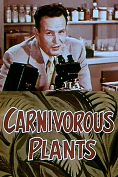 Póster de Carnivorous Plants