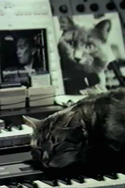 Póster de Cat Listening to Music