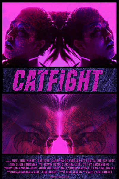 Póster de Catfight