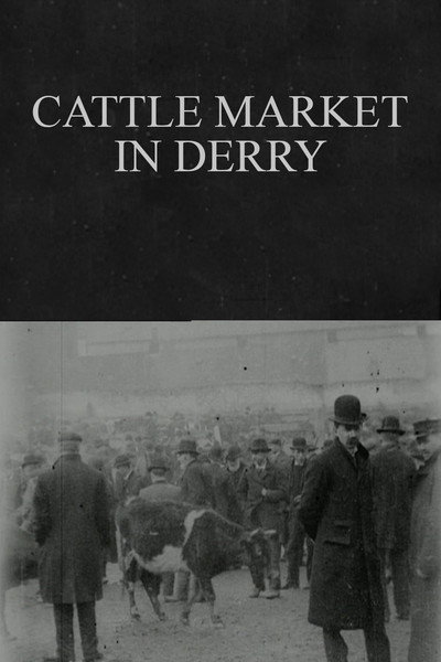Póster de Cattle Market in Derry