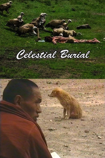 Póster de Celestial Burial