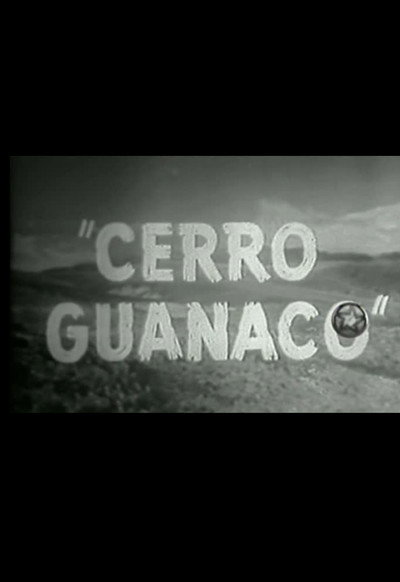 Póster de Cerro Guanaco