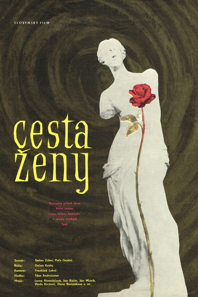 Póster de Cesta zeny